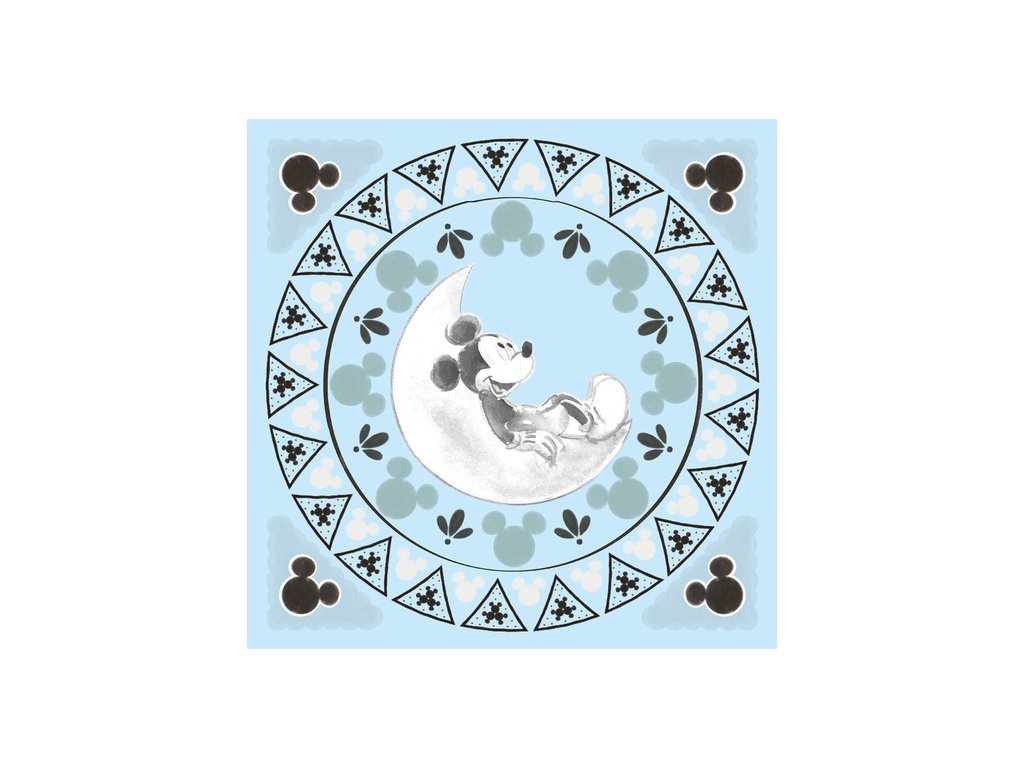 Mickey Mouse - Obraz na plátne 30 x 30cm C30X30CM001